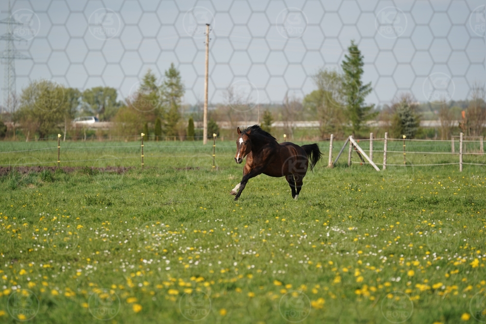 s_A9_09632.jpg